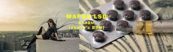 Альфа ПВП Горняк