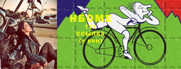 Альфа ПВП Горняк