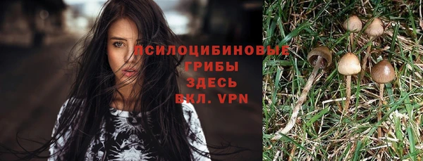 крисы Горно-Алтайск