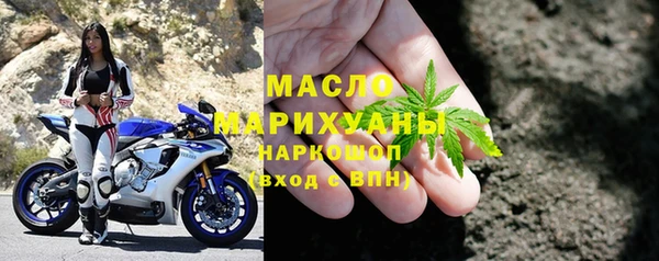 Альфа ПВП Горняк