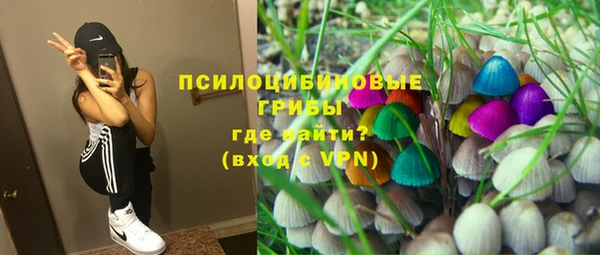 Альфа ПВП Горняк
