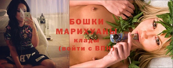 Альфа ПВП Горняк