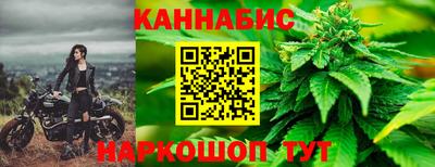 прущие грибы Донецк