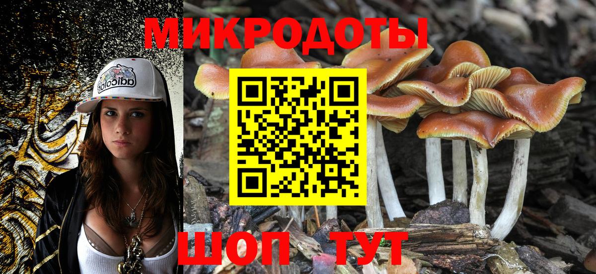 Железноводск  Псилоцибиновые грибы прущие грибы  Псилоцибиновые грибы Magic Shrooms  Вход с VPN 